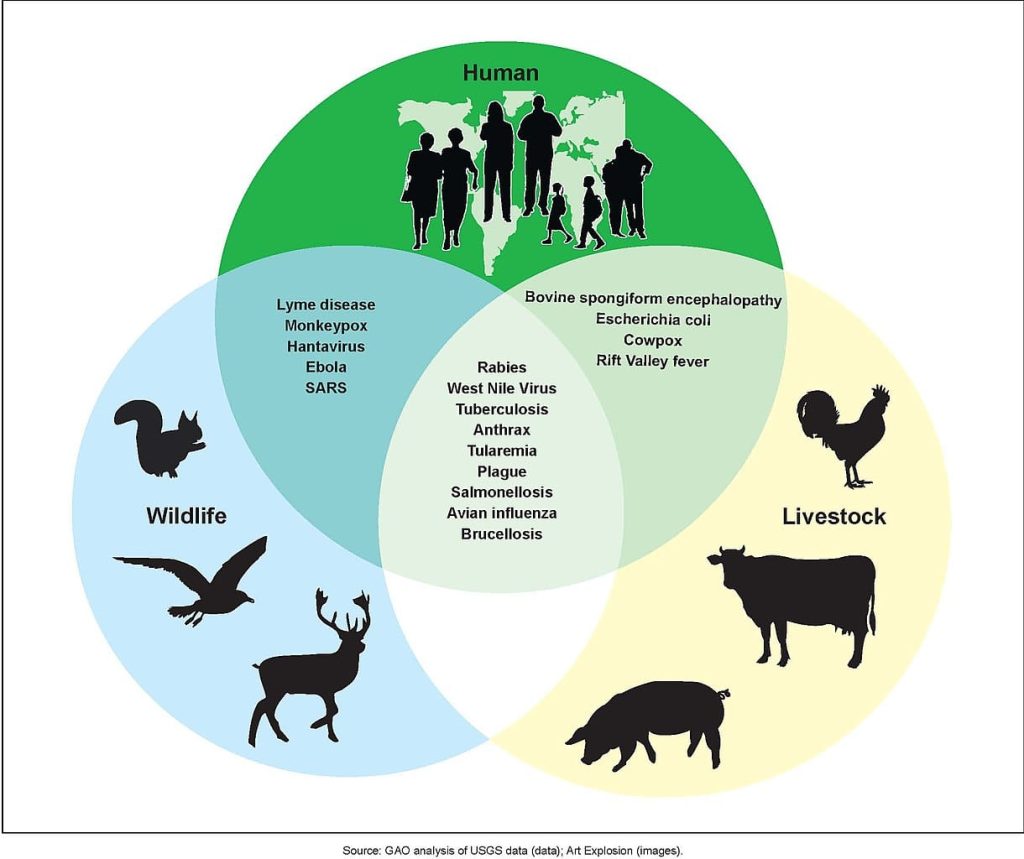 *$25-mn pandemic fund goes to curb ‘zoonotic’ diseases